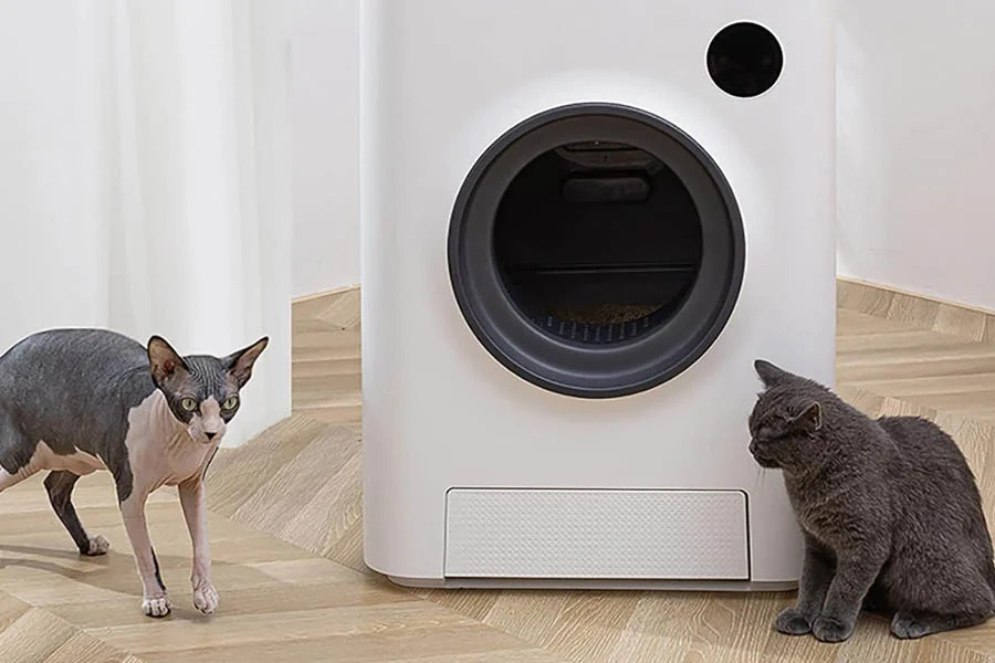 best auto kitty litter box